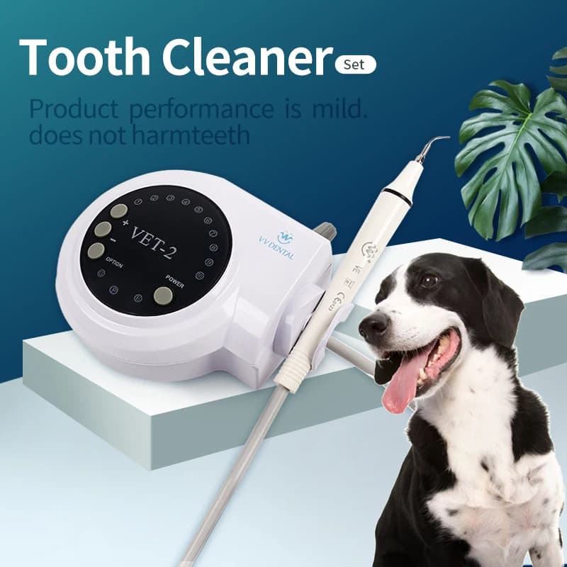 Pet Dental Ultraschall Scaler Hund Professionelle Oral Scaler für Haustier Entfernen Zähne Zahnstein mit 5 * Tipps Zahnmedizin Bleaching Werkzeuge