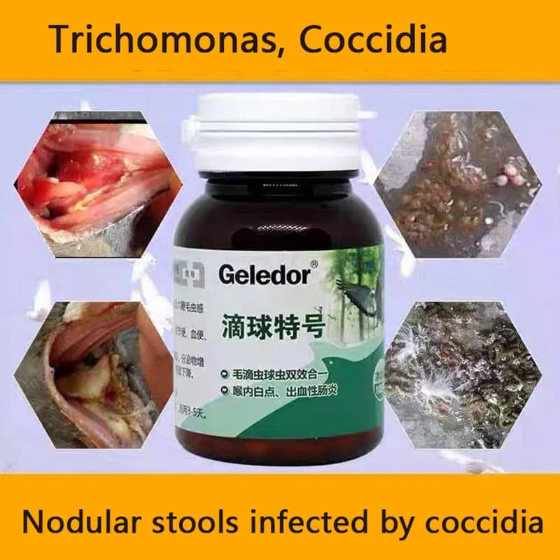 Trichomonas taube kokzidien zwei-in-one infektion knotige hocker verdauungs störungen 100 tabletten
