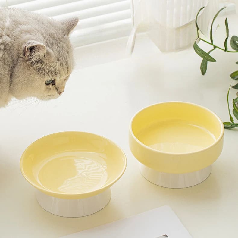 Haustier Keramik Katzennapf Halswirbel schützende Katzenfutter Wassernapf, schräge Mundschale Heimtierbedarf