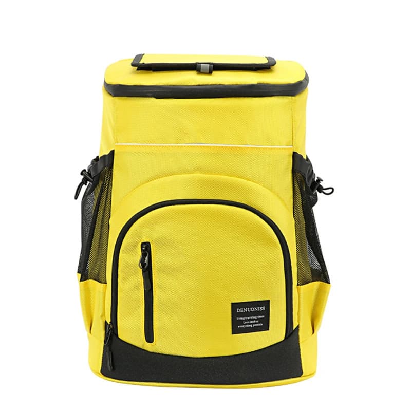 30L Kühlschrank Tasche Thermische Isotherme Kühlschrank Reise Outdoor Strand Eis Bier Rucksack Weiche Isolierte Kühler Rucksack