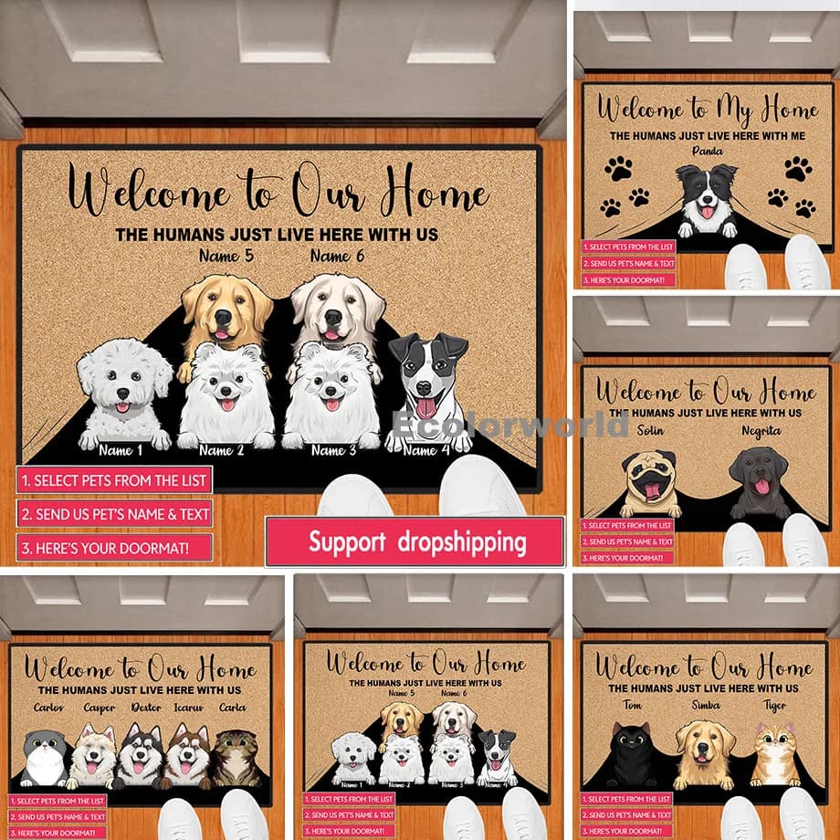 Personalisierte Haustier-Cartoon-Matte, individuelle Fußmatte mit Hunde- oder Katzennamen, Willkommensmatte für unser Zuhause, Bodenmatte, Teppich,