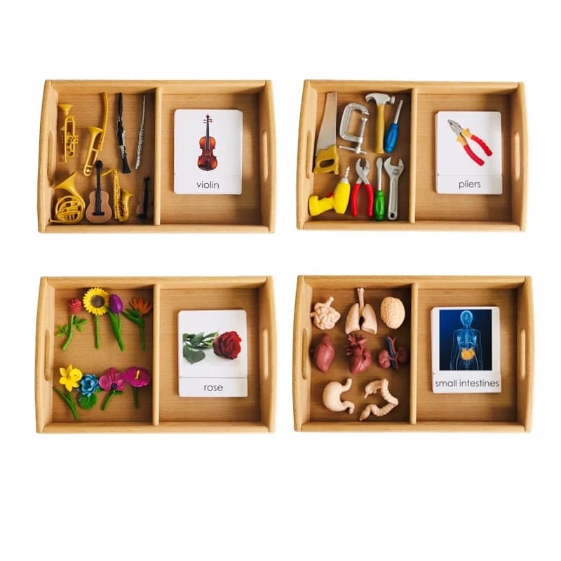 Montessori Sprach materialien Modelle von Human Ogran/ Handware Tool/ Instrument/Blume mit 3-teiligen Karten Kinder Lern ressourcen