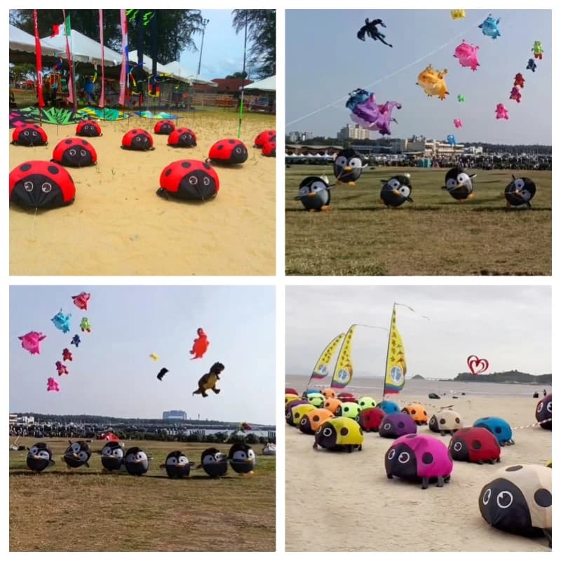 Neuer Pinguin-Drachen-Anhänger, Marienkäfer-Drachen, die nicht fliegen gehen, Ripstop-Nylon-Outdoor-Spiel, Breezemoon-Spielzeug, Sport,