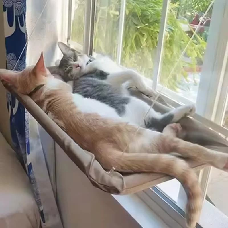 Winter Katze Fenster Hängen Hängematte Bett Saugnapf Platzsparend Alle Jahreszeiten Einfache Installation Haustier Bett Katze Klettergerüst