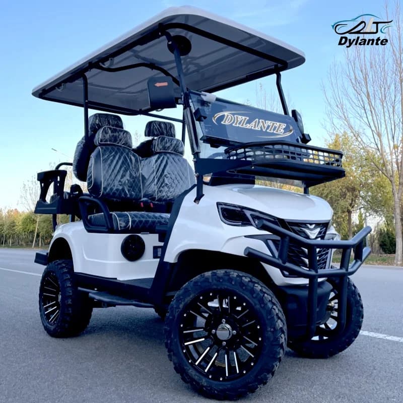 Design-Golfcart mit Straßenzulassung und CE-Zertifizierung, 2, 4, 6 Sitze, 48V Lithium-Batterie, 5KW Offroad-Clubcar, heiß begehrt