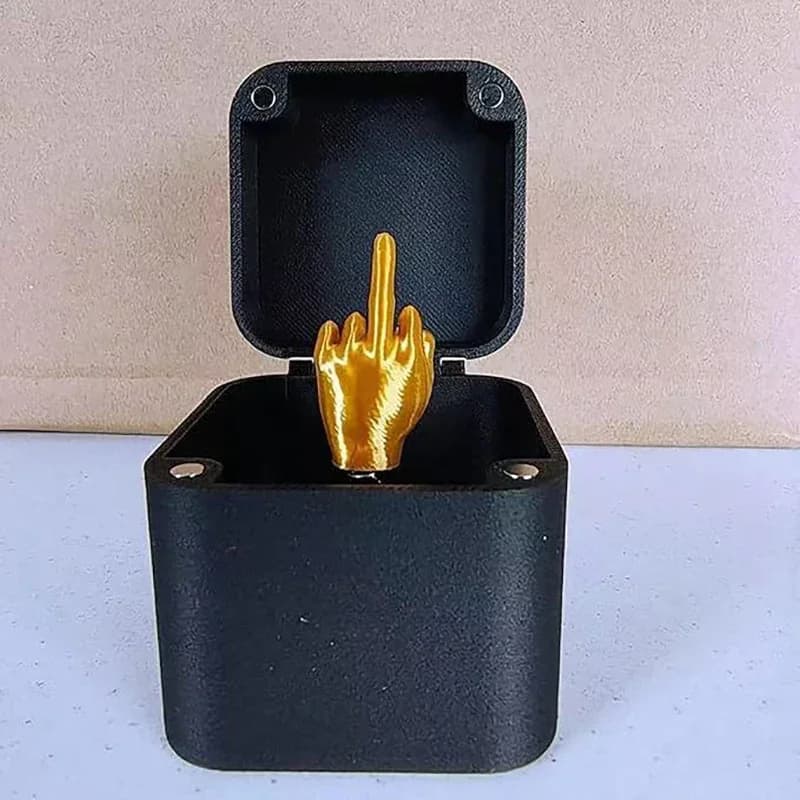 Heimdekoration, interessantes Streich-Geschenk, Mittelfinger im Karton, lustige kreative Geschenke, Büro-Schreibtisch-Dekoration, Geschenke für