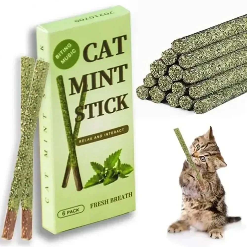 6 stücke Natürliche Matatabi Katze Stick Mint Gefangen Biss Aufgeregt Stangen Silvervine Für Katze Zähne Reinigung Behandeln Pet Versorgung Katze