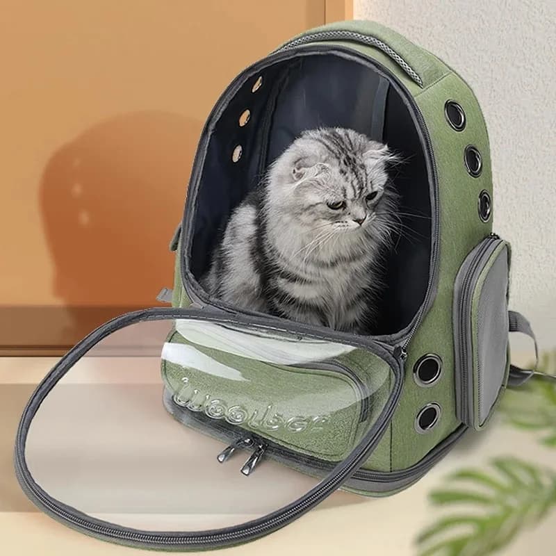 Haustier-Katzen-Tragetasche, Outdoor-Reiserucksack für Katzen, kleine Hunde, atmungsaktive Katzen-Tragetasche, Heimtierbedarf, transparent