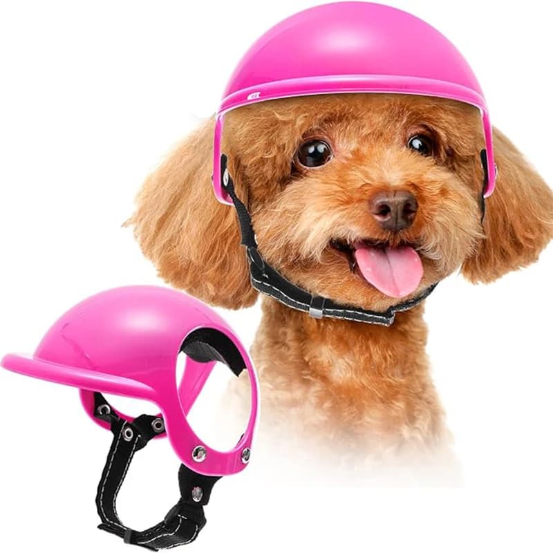 Hundehelm für kleine und mittelgroße Hunde, Haustier-Motorradhelm mit Ohrlöchern, Hunde-Sicherheitshut mit verstellbarem Gürtel, für