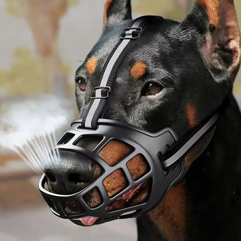 Verstellbarer Hunde-Maulkorb Anti-Beiß Hundemund-Schutz Mit Reflektorstreifen Kann Wasser Trinken Atmungsaktiver Kunststoff