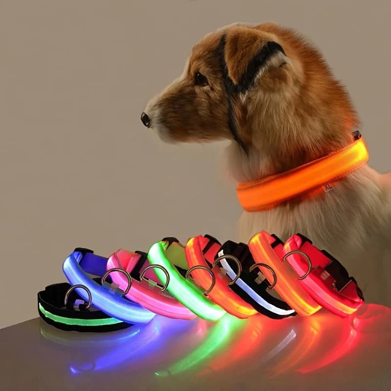 Nylon LED Nacht Sicherheit blinkende Glow In The Dark Hundeleine Hunde leuchtende fluoreszierende Haustier Hundehalsband