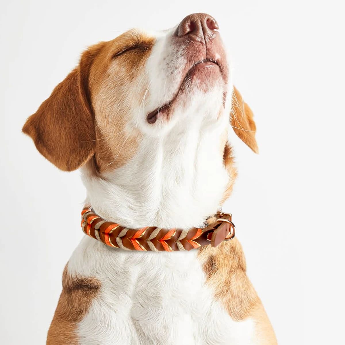 Braunes Leder-Hundehalsband und Leinen, Anzug, gewebte Muster, wunderschönes, langlebiges Nylon, orange Farben, Seil, freihändiges Design, 2026, neu