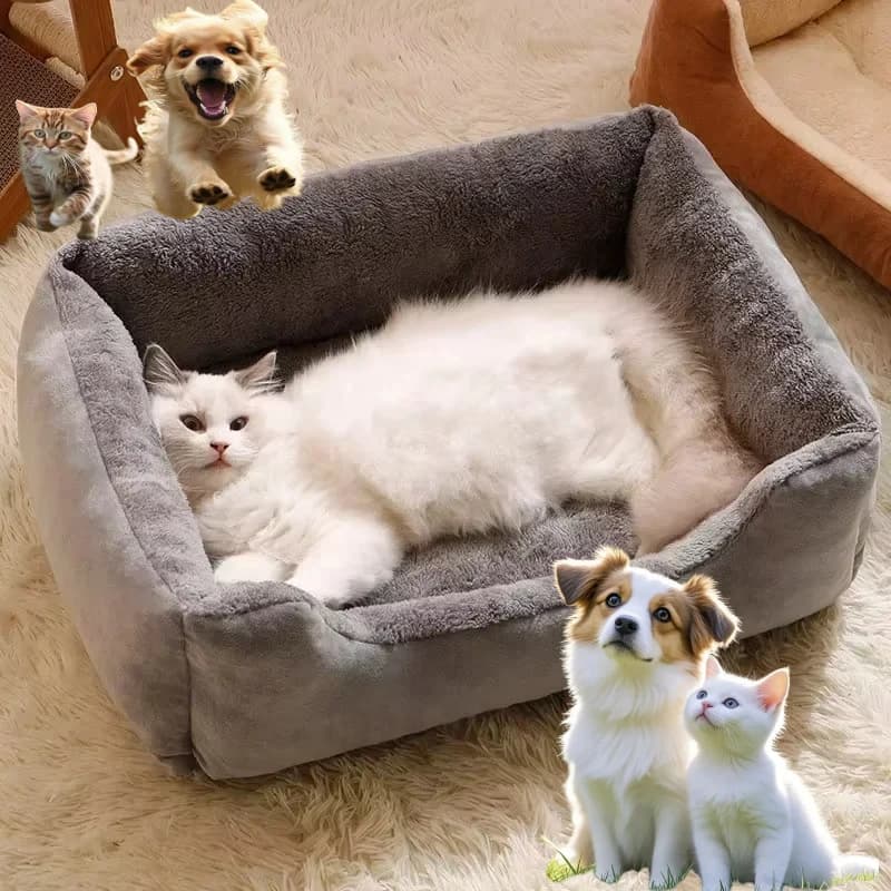 Katzenbett Hundematte Betten Waren Haustier Welpenzubehör Alle Produkte Kätzchenkissen Dinge Zubehör Häuser Lebensräume Heimtierbedarf