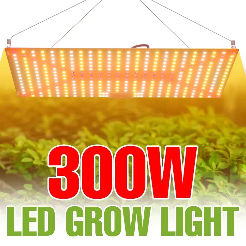 300 W Vollspektrum-LED-Wachstumslichter für den Innenbereich, Quantenplatte, Pflanzenfüllampe, Gewächshaus, Zelt, Gemüse, Obst, Blumen, Anbau,