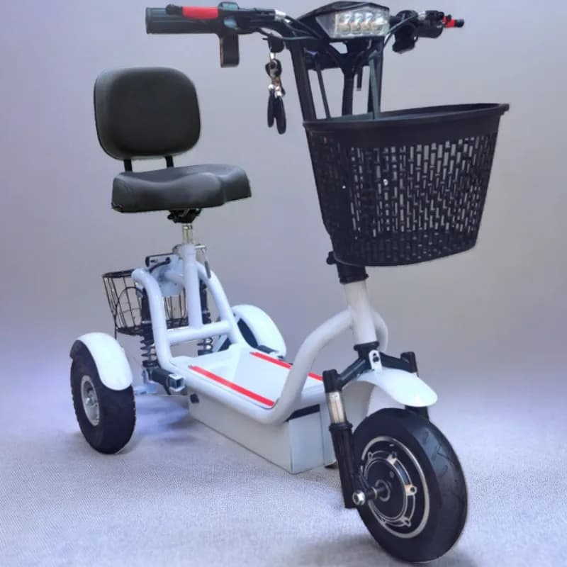 3-Rad-faltbarer Mobilitätsroller für Senioren, 2-Sitzer mit 2 Körben, Reise-Elektroroller, Dreirad für Erwachsene für die Familie, 800 W