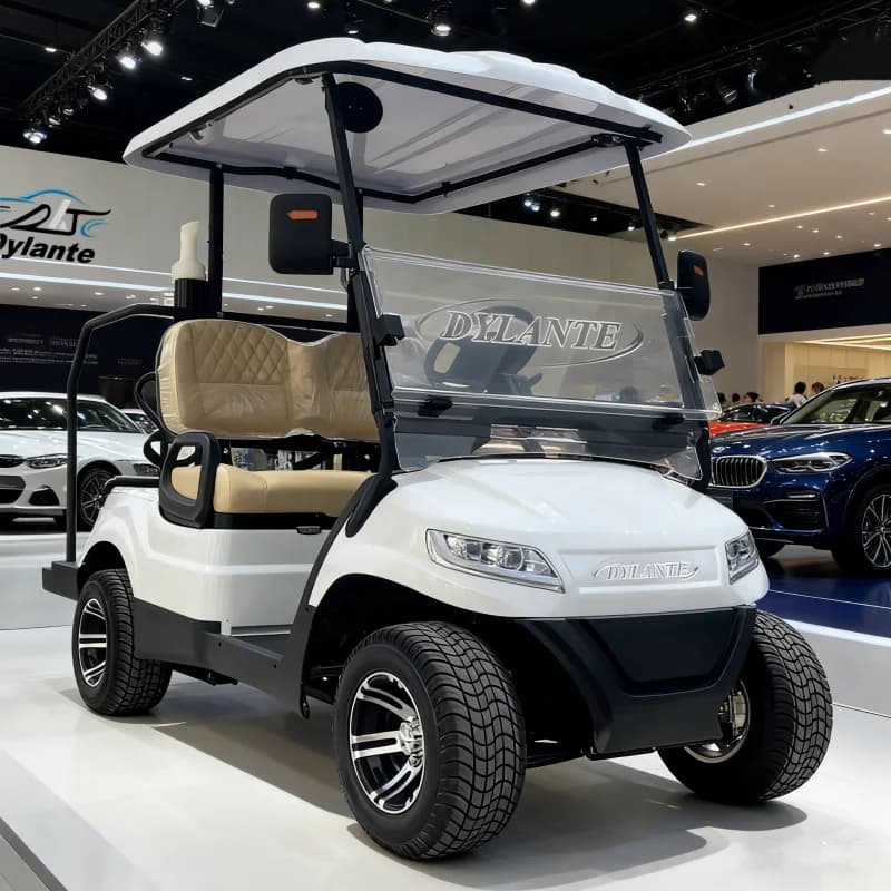 Neuer 2-Sitzer Golfwagen mit Solarpanelen, straßenzugelassen, multifunktional, anhebbarer Elektro-Golfwagen für Golfplätze