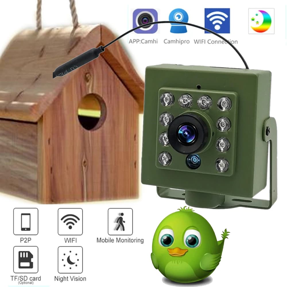 Grüne Wifi Vogel Box Kamera Audio 1920P 1080P IR CUT Nachtsicht RTSP FTP Mini IP IPC Haustier Nest vogel Beobachtung 2,8mm objektiv Camhi
