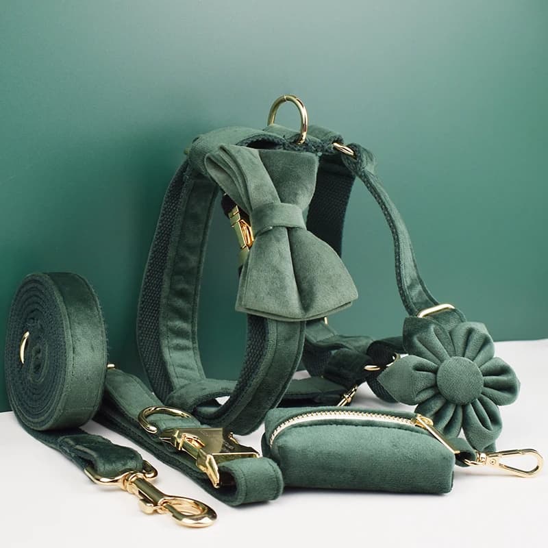 Personalisiertes Samt-Hundehalsband-Geschirr-Leinen-Set Maßgefertigte Hundehalsbänder Luxus-Hundehalsband-Leinen-Geschirr-Set mit Schleife aus