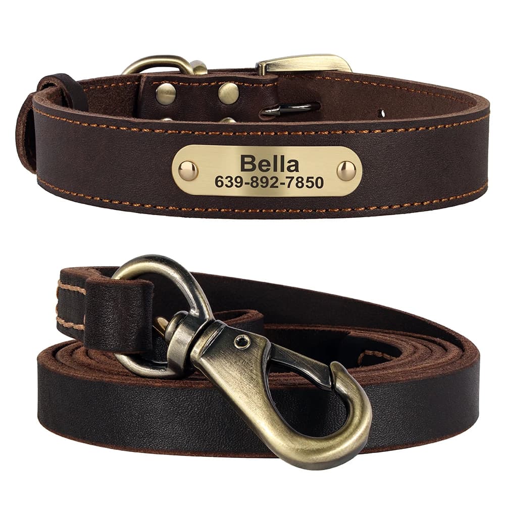 Personalisiertes Hundehalsband-Leinen-Set, langlebiges Hundehalsband aus echtem Leder, gravierte Haustier-ID-Halskette mit Leine für kleine und