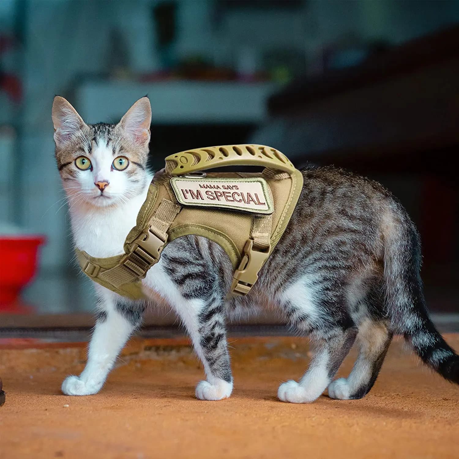 Taktisches Katzengeschirr zum Gehen, auslaufsicher, verstellbares Haustierweste-Geschirr, weiches Netz mit Steuergriff für große Katzen, kleine
