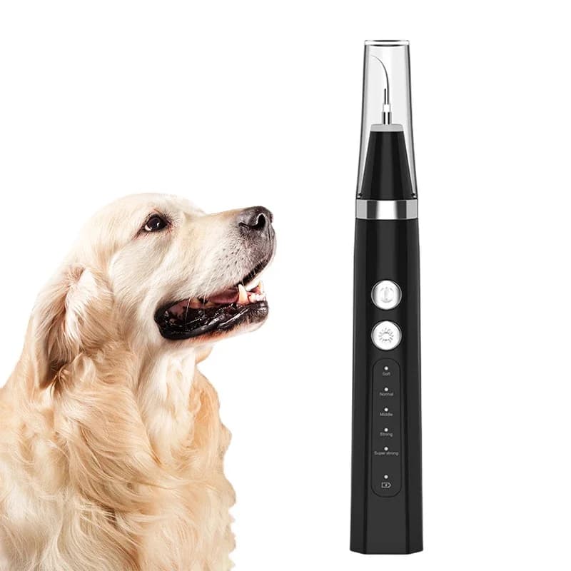 Hund Pflege Elektrische Dental Scaler Ultraschall Zahn Reiniger Haushalt Zahn Stein Entferner Zahn Bleaching Oral Reinigung Werkzeuge
