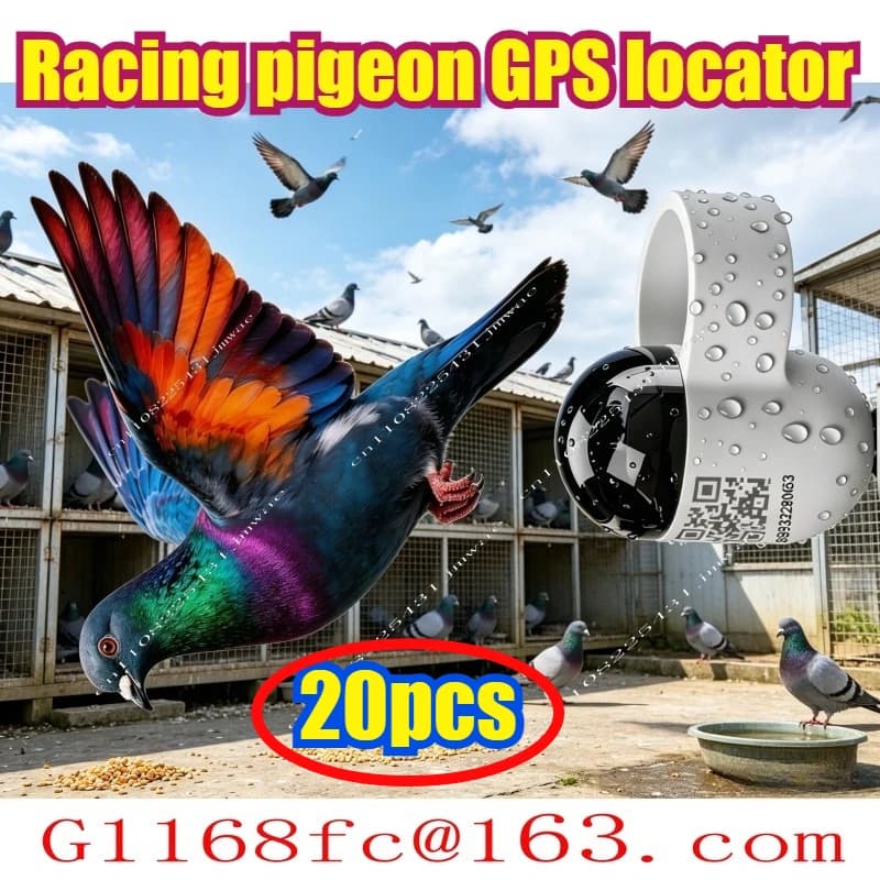 1-20 Stück Professioneller und Präziser GPS-Ring mit Geschwindigkeitsdatenanalyse-Funktion, für Tägliches Training und Ortung von Brieftauben