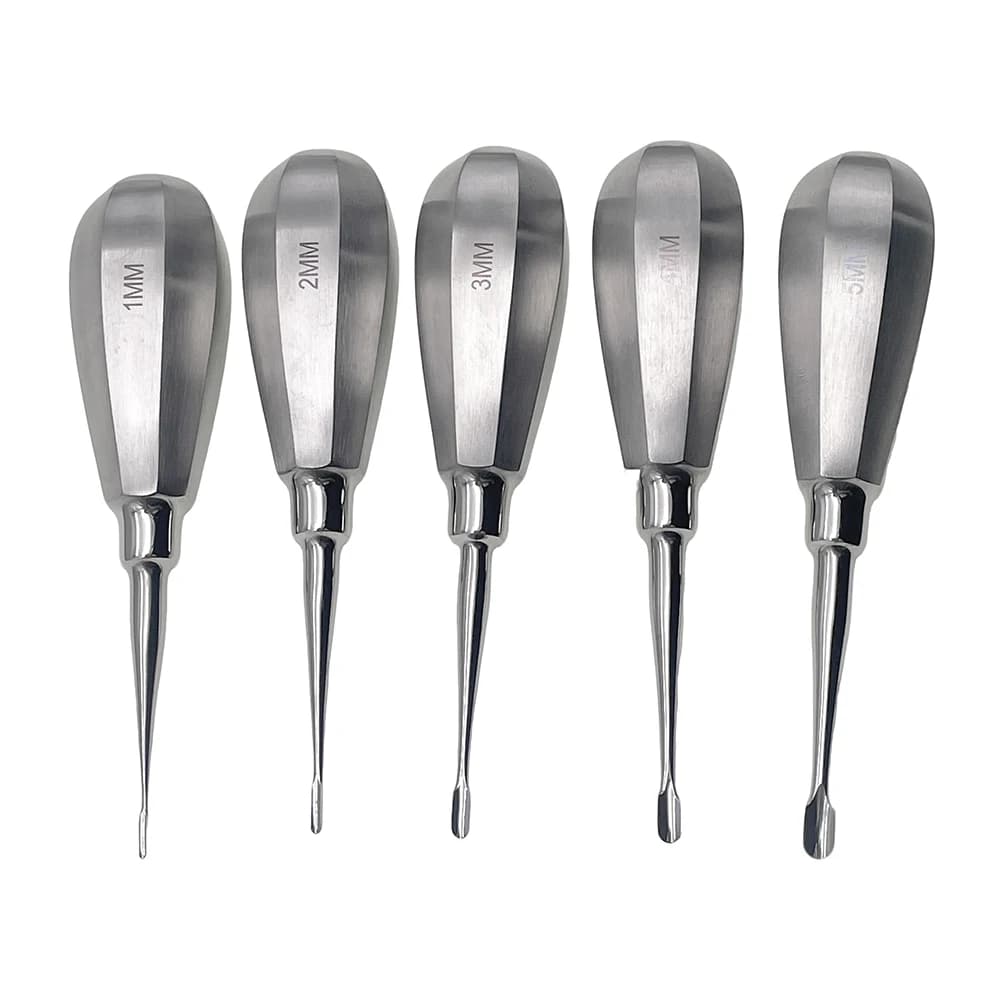 Pet Dental Instruments Feline Canine Dental Elevators with Auxiliary Wing Short Handle Straight Root Elevators Oral Examination