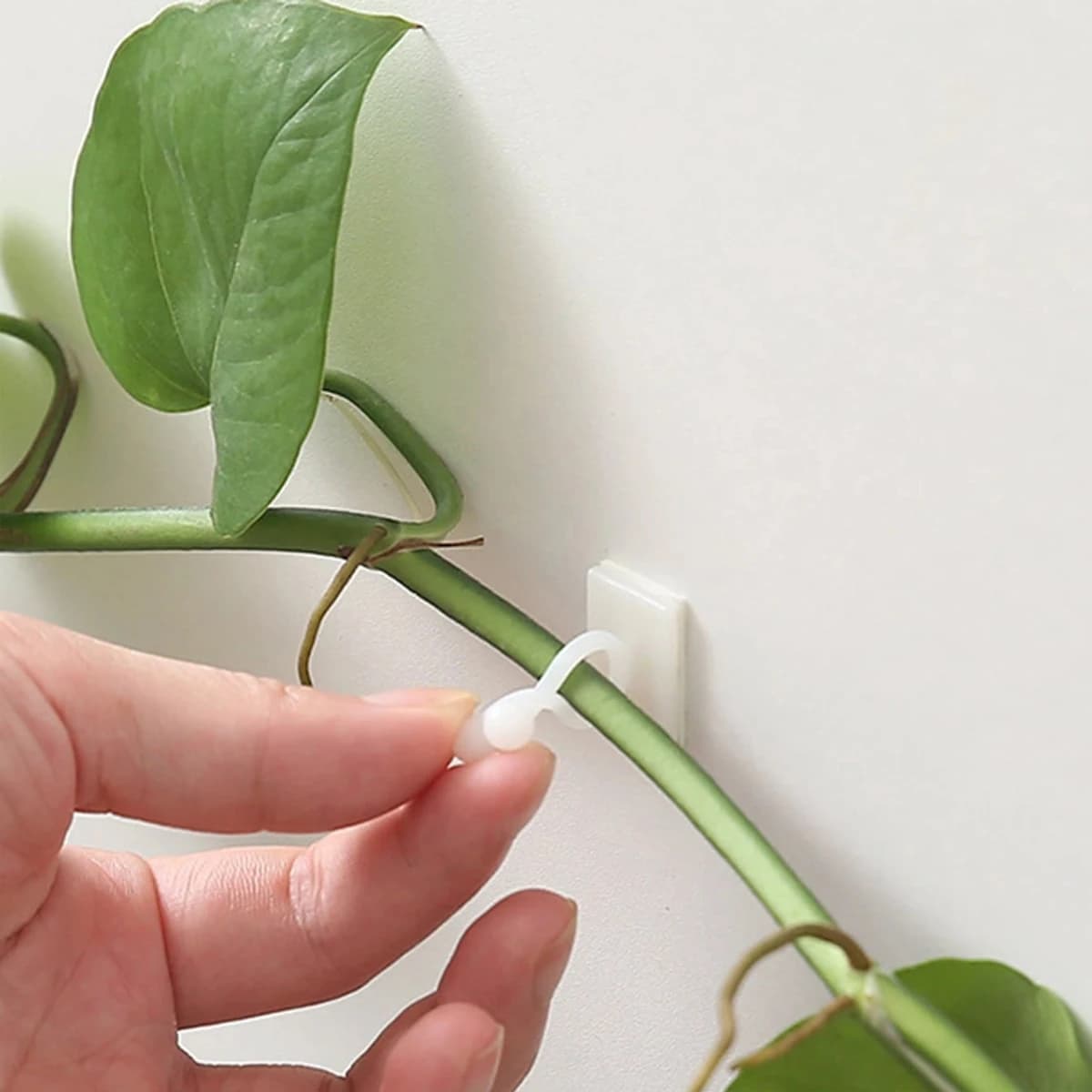 10 Stück Gartenpflanzen-Kletterwand-Fixierclips, Selbstklebende Rankenhalter, Pflanzenkletterwand-Befestigungshaken