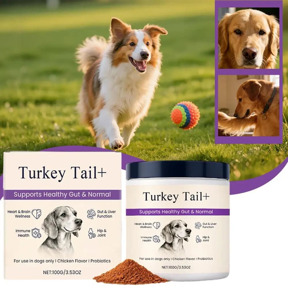1/3 Stück Hunde-Darmgesundheitspulver 100g Probiotische Darmunterstützung mit Speckgeschmack Hühnerfleisch Verdauungshilfe Gelenkpflege