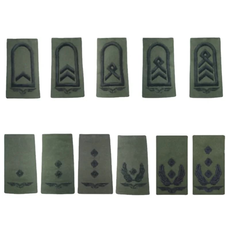 Der Rang Insignia von In Auftrag Offiziere Deutsch Air Force Luftwaffe Abzeichen