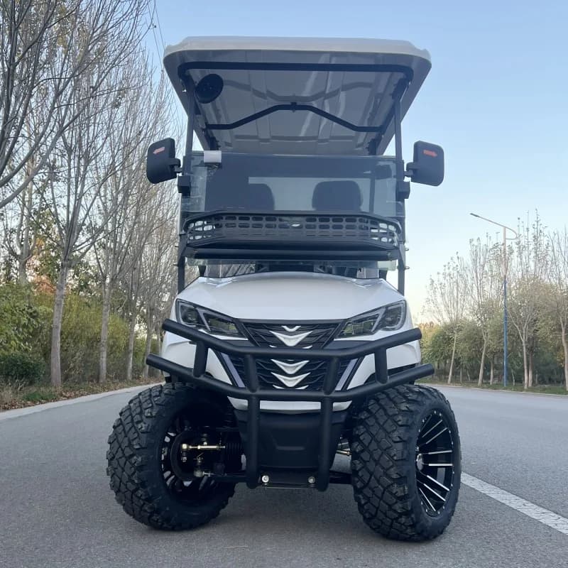 2/4/6/8-Sitzer Jagd-Golfwagen Straßenzugelassene Elektrische Offroad-Golfcarts Auto Buggy Golf-Scooter Gocart