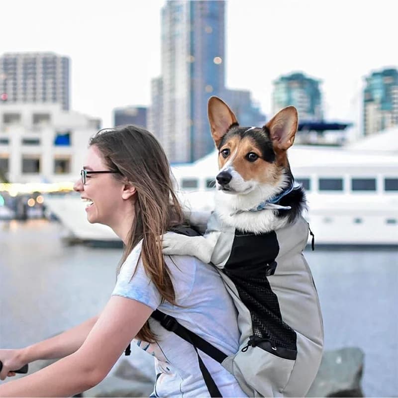 Starker Hunde-Trägerrucksack aus Nylon für kleine und mittelgroße Hunde. Hochwertiger, atmungsaktiver Fahrradrucksack für Outdoor-Reisen,