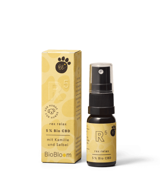 5% Bio CBD Öl für Hunde - rex relax