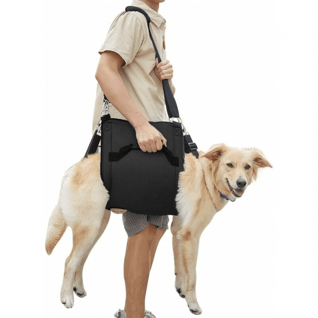 (l, Schwarz) Hundetragegeschirr, Notfallrucksack Zur Beinunterstützung Und Rehabilitation Von Haustieren