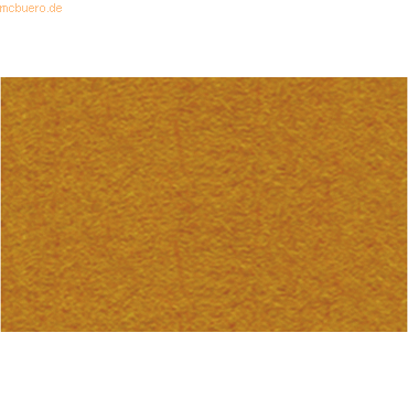 10 x Ludwig Bähr Tonpapier 130g/qm 50x70cm rehbraun