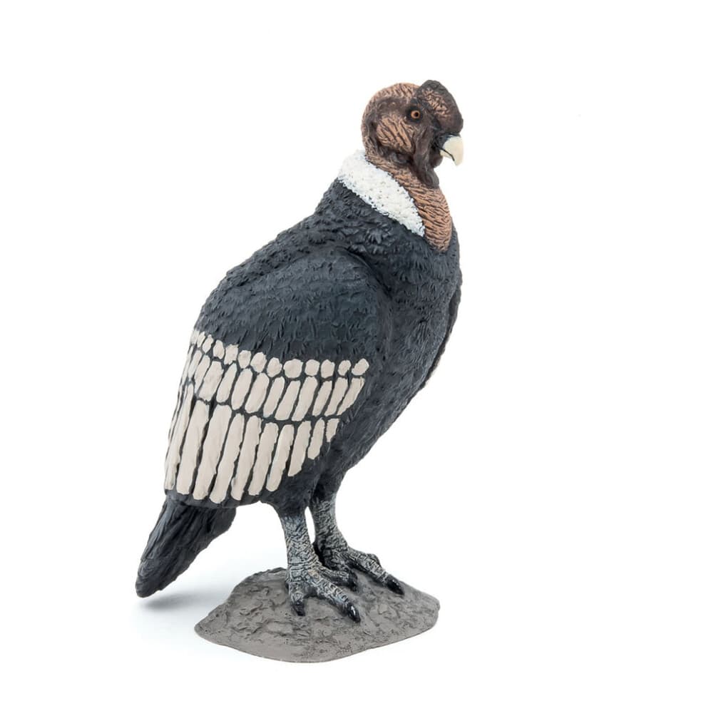 Papo Condor
