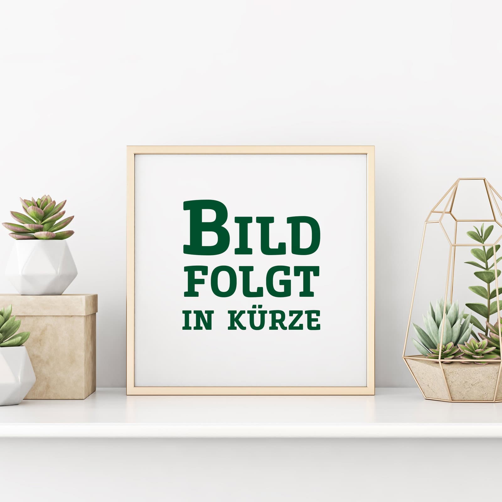 2er Set Grüne-Säuleneibe, Taxus baccata "Fastigiata Robusta", Höhe 60-70 cm