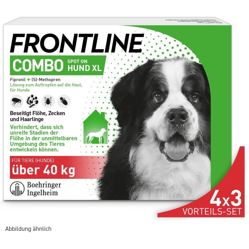 Frontline Combo Spot on gegen Flöhe und Zecken Hund XL über 40kg 4x3 St Lösung