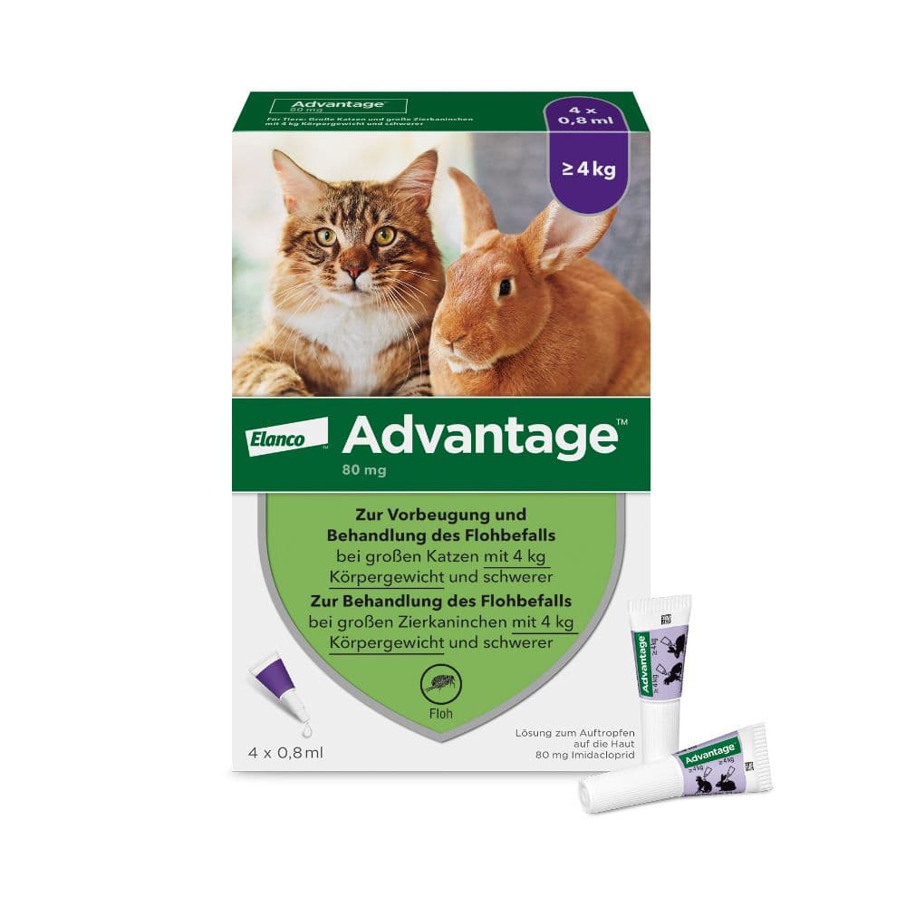Advantage 80 mg f.gr.Katzen u.gr.Zierkaninchen 4x0,8 ml Lösung