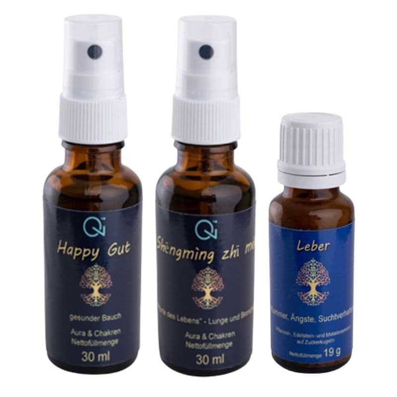 Qi-Health Entgiftung, 3er Set - unterstützt Entgiftung & Entschlackung 77 g Kombipackung
