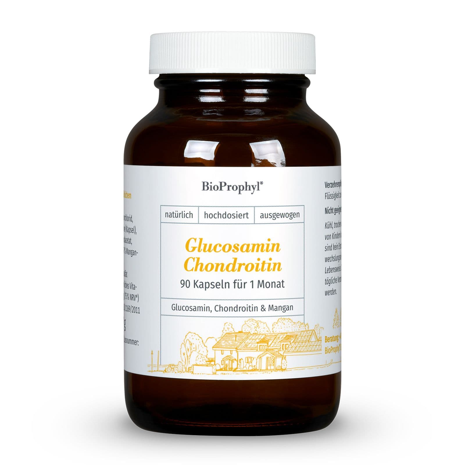 BioProphyl Glucosamin Chondroitin 90 St