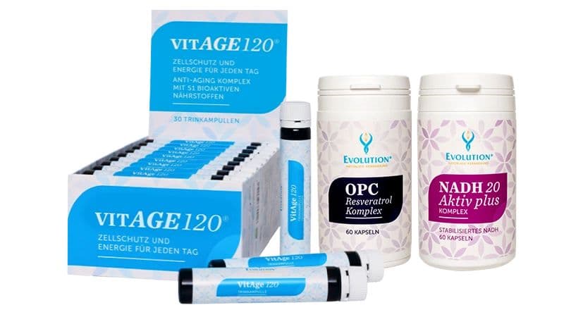 Evolution Longevity Basis Set 2 1 St