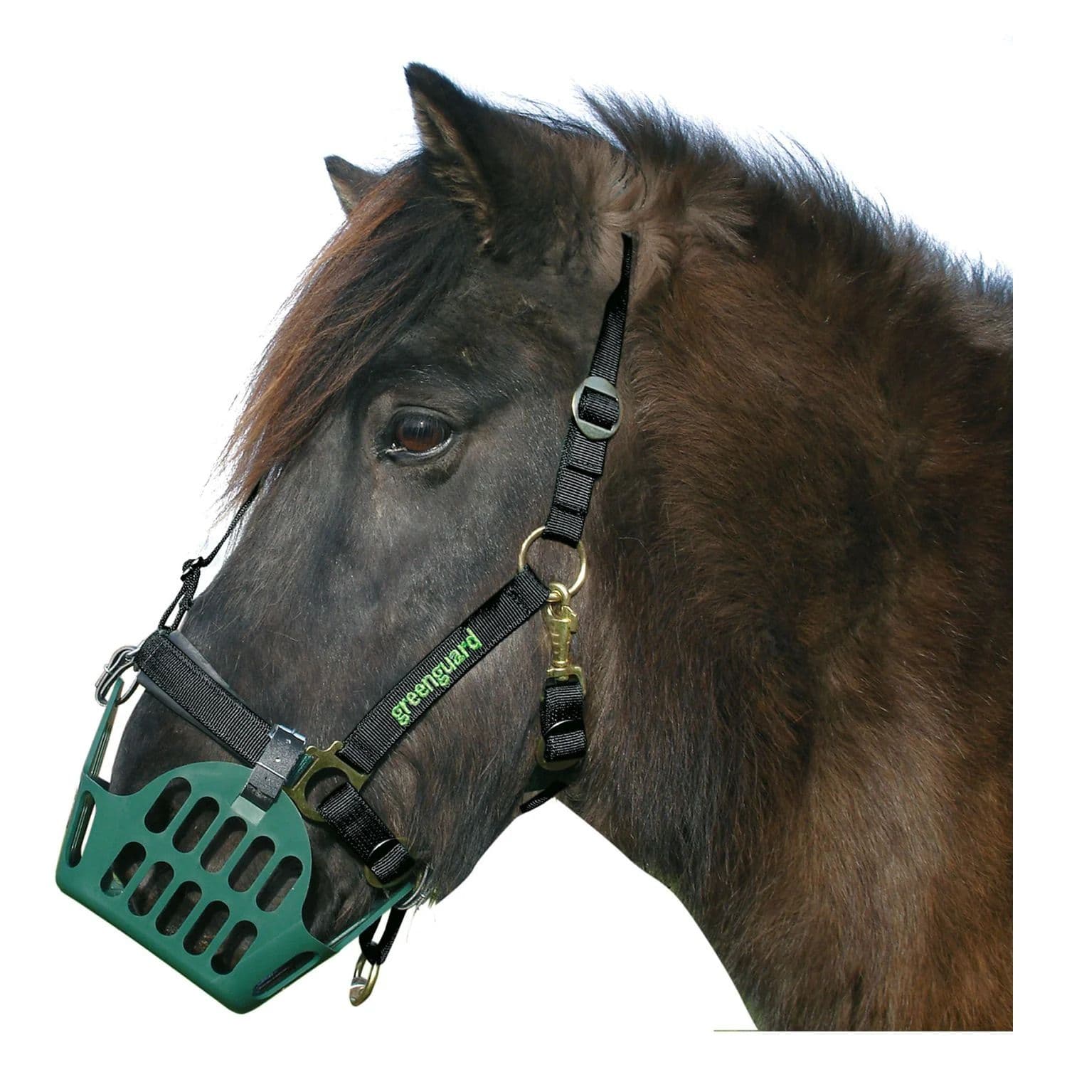 Greenguard Halfter 48 Standard Shetty 1 St