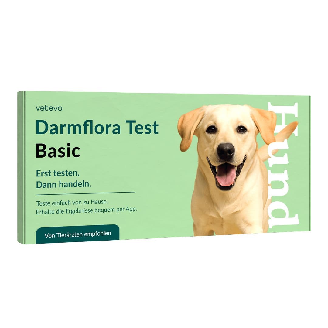 Darmflora Test Basic Hund 90 g