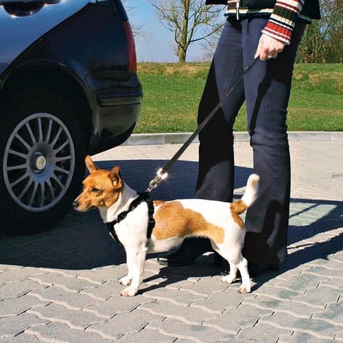 Trixie Auto-Sicherheitsgeschirr, Größe: M / z.B. Border Collie