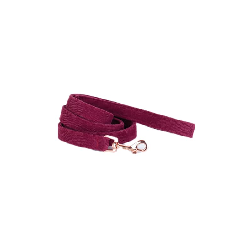 Hundessa Leine Rubin S Beige Rot für Welpen | für alle Hunde | Stoffleine | reißfestes Gurtband | dreifach verstellbar | Baumwolle