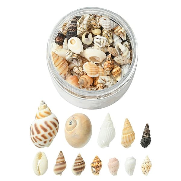 12 Arten natürliche gemischte Muschelperlen