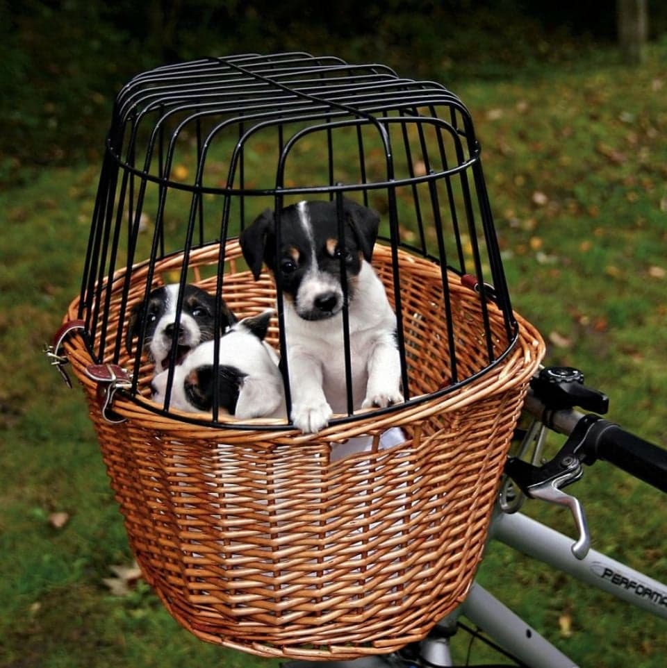 TRIXIE Weidenkorb für Fahrrad