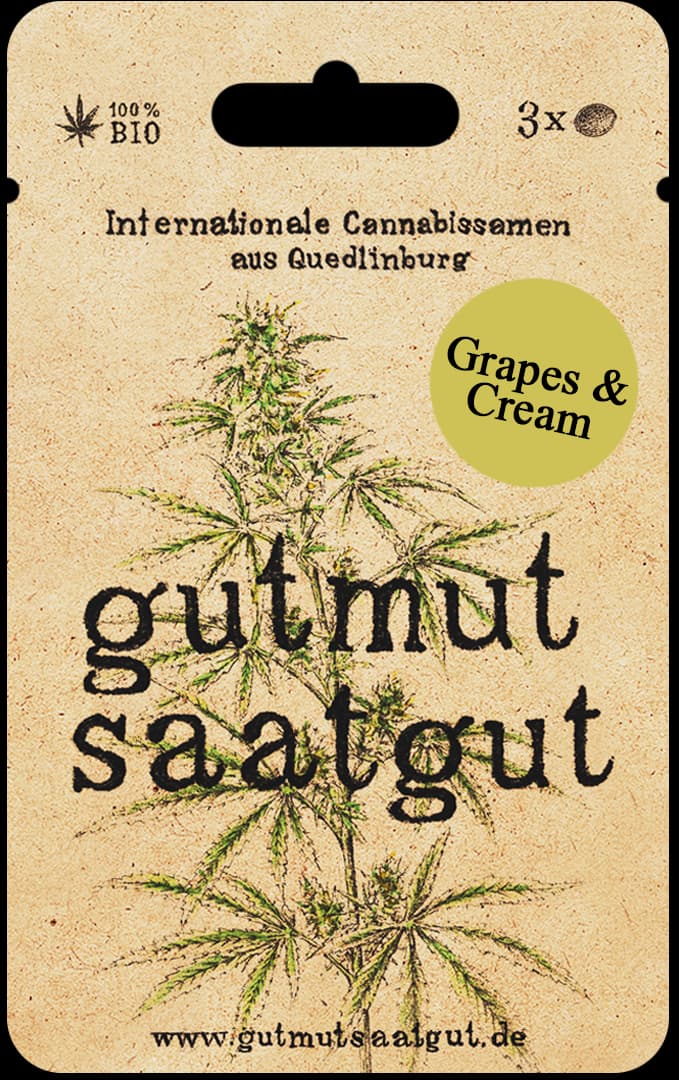 Grapes & Cream (Cannabissamen, 3Stk)