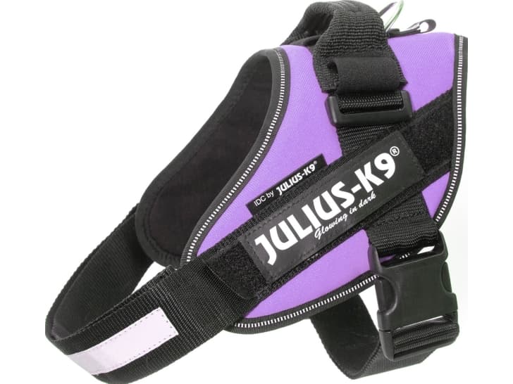 Julius-K9 K9 IDC Geschirr, Gr. 0, lila 58-76 cm